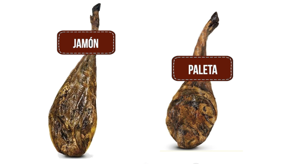 Paleta Ibérica 5 Jotas cortada a cuchillo