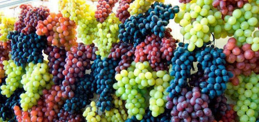 Qué uvas se utilizan en los vinos españoles