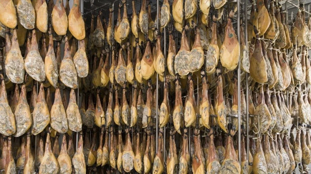 Secadero natural para el jamón ibérico Es un proceso largo y supervisado de maduración en bodegas o en un secadero natural.